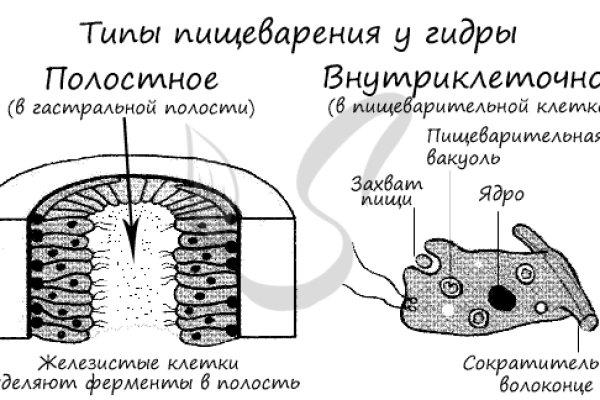Как открыть кракен