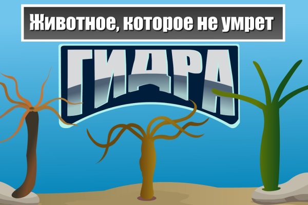 Кракен что за сайт