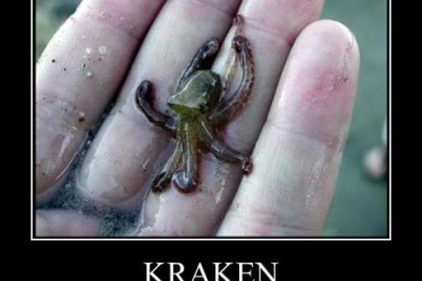 Kraken 4