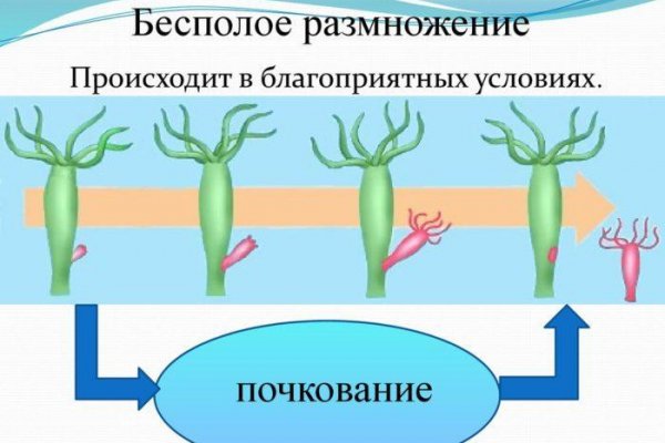 Кракен через тор